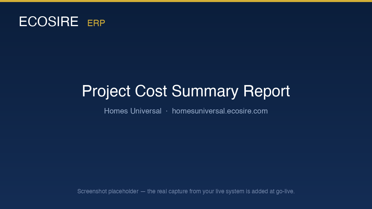 Project Cost Summary report